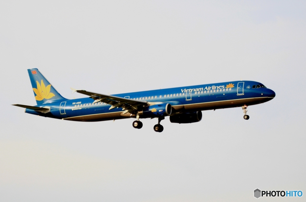 vietnam A321-231 着陸　
