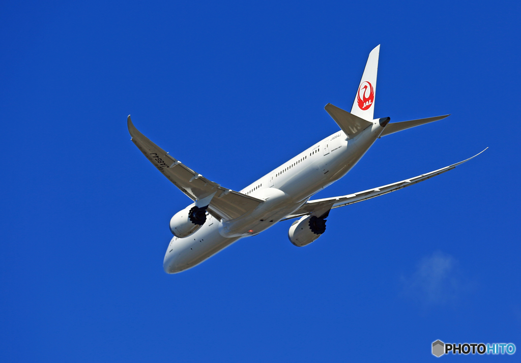 [青い空]　JAL 「787-9 」　JA864J
