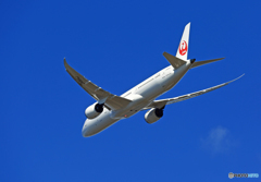 [青い空]　JAL 「787-9 」　JA864J