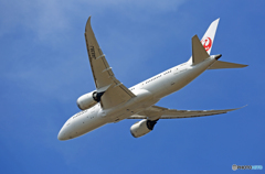 「良い空~」 JAL 787-8 JA838J 出発 「良い空~」 JAL 787-8 JA838J 出発