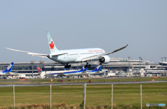 「SKY」 Air Canada 787-9 C-FNOG Landing