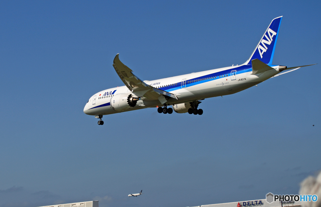[青い空]　ANA 787-8 JA837A