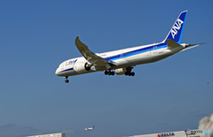 [青い空]　ANA 787-8 JA837A