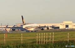  着陸　Singapore A380-841 9V-SKN   