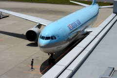 到着（13）KOREAN A330-300　　