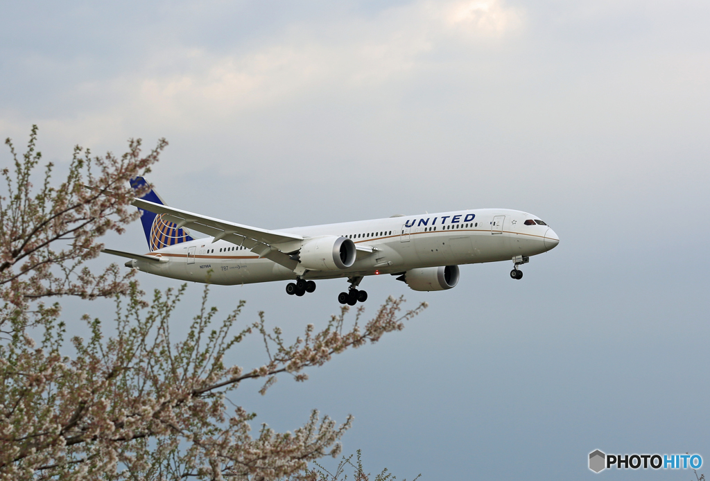 「はれー」 UNITED 787-9 N27964 到着