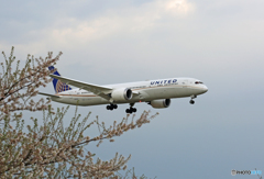 「はれー」 UNITED 787-9 N27964 到着 「はれー」 UNITED 787-9 N27964 到着