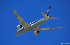 「☁雲なし」 ANA 787-8 JA838A 出発 「☁雲なし」 ANA 787-8 JA838A 出発