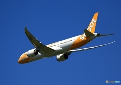 scoot 787-9  飛び立ち　