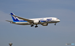 ANA 787-8 JA820A 着陸 