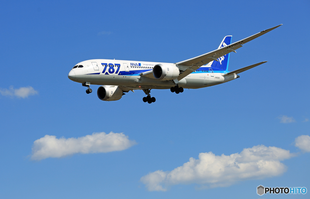 [青い空] ANA 787-8 JA803A 到着