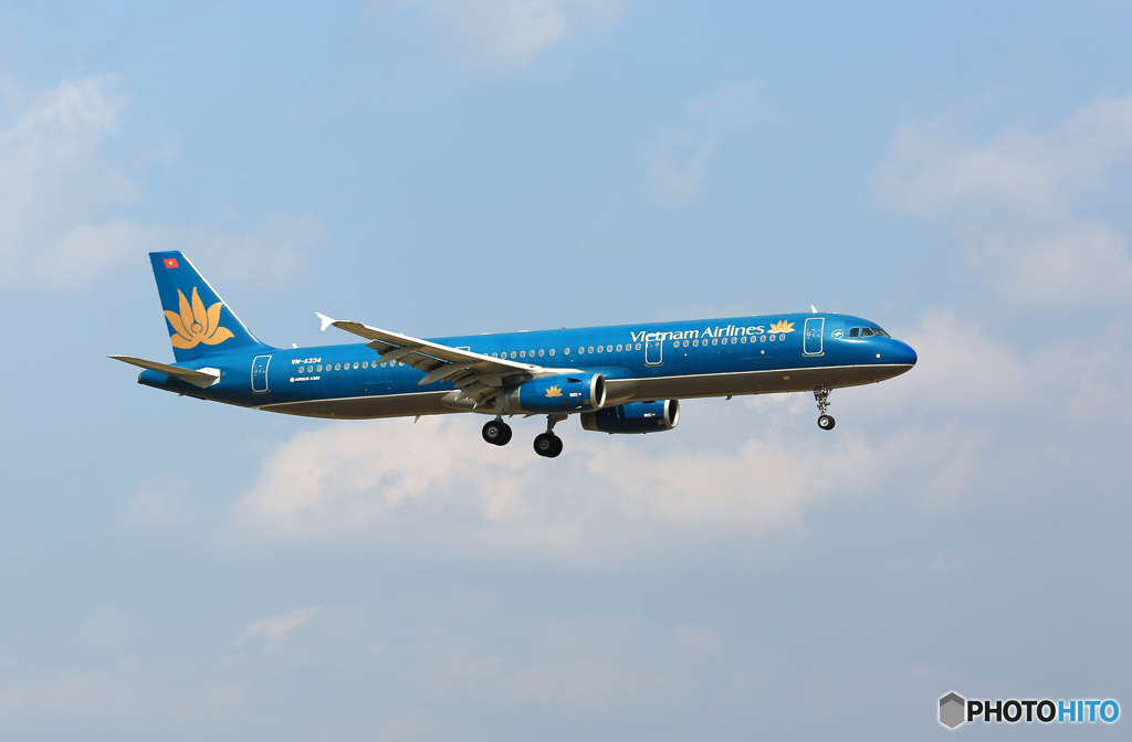 「SKY」 Vietnam A321-231 VN-A334 着地前