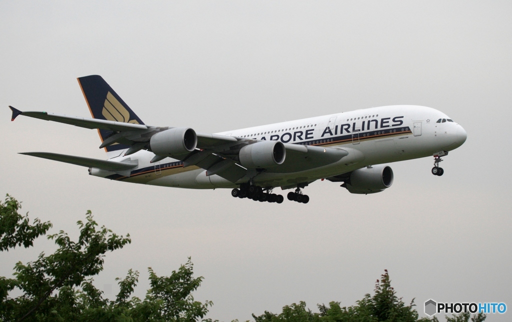 Singapore A380-841 到着　