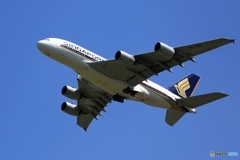 SINGAPORE A380-841 離陸　