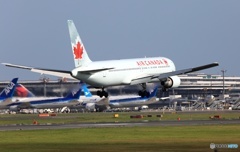 到着　Air Canada 767-375