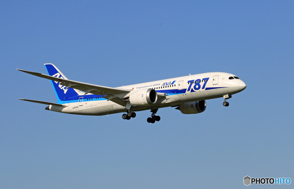 [青い空]　ANA 787-8 JA804A着陸