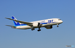[青い空]　ANA 787-8 JA804A着陸