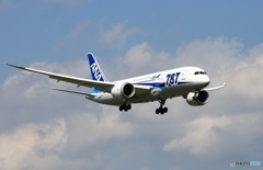 ANA 787-8 JA823A 到着