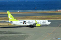 ☮Solaseed 737-800 「くまモンGO」JA812X☮