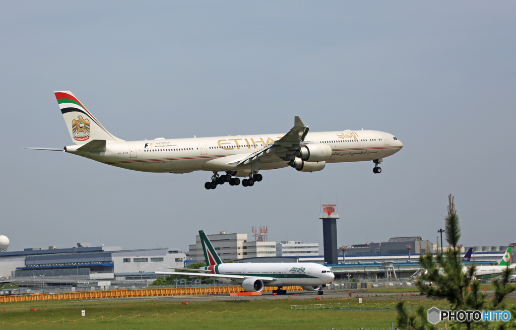 ✈ETIHAD A340-642 2016 F-1 A6-EHK