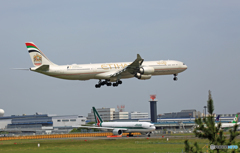 ✈ETIHAD A340-642 2016 F-1 A6-EHK