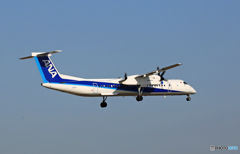 到着 ANA ﾎﾞﾝﾊﾞﾙﾃﾞｨｱ Dash8-Q400 JA859A