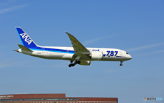 到着 ANA 787-8 JA806A