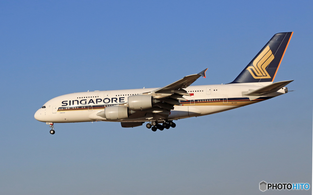 到着 Singapore A380-841 9V-SKN