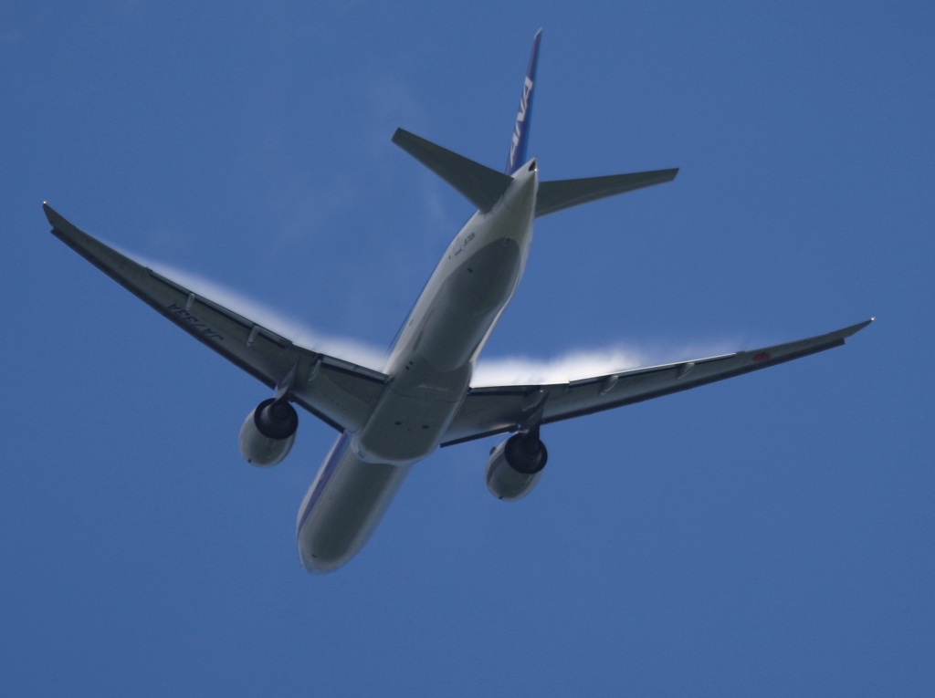 ANA 777-300 ピントが？