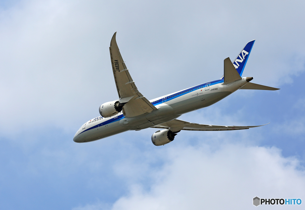 「スカイ」 ANA 787-8 JA836A 離陸