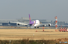 「良い天気」 THAI A380-841 HS-TUE Landing