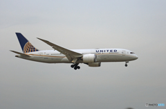 「はれー」 UNITED 787-8 N45907 着陸 「はれー」 UNITED 787-8 N45907 着陸