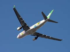 EVA A330-203 離陸