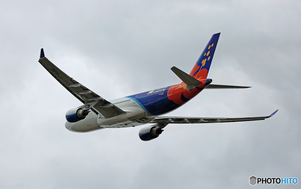 曇りの日は難しいですね？