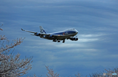 ✈Air Bridge Cargo 747-4KZF VQ-BIA 到着 ✈Air Bridge Cargo 747-4KZF VQ-BIA 到着