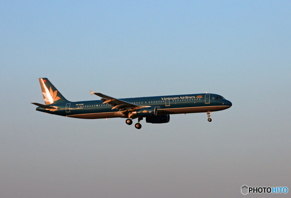 「良い天気」 Vietnam A321-231 VN-A336 到着