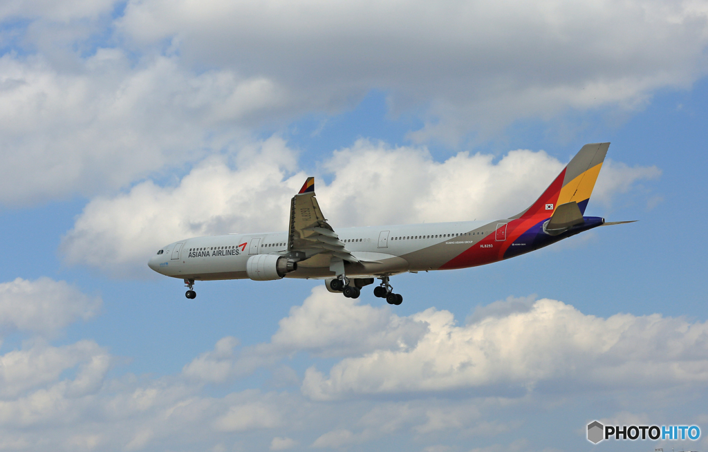 着陸  Asiana A330-323 HL8293 「スカイ」