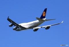 飛び立ち Lufthansa 747-400 D-ABVY 飛び立ち Lufthansa 747-400 D-ABVY