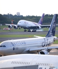 着陸　THAI A380-841 