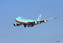 ☀  Korean Cargo 747-8 HL7629 Landing