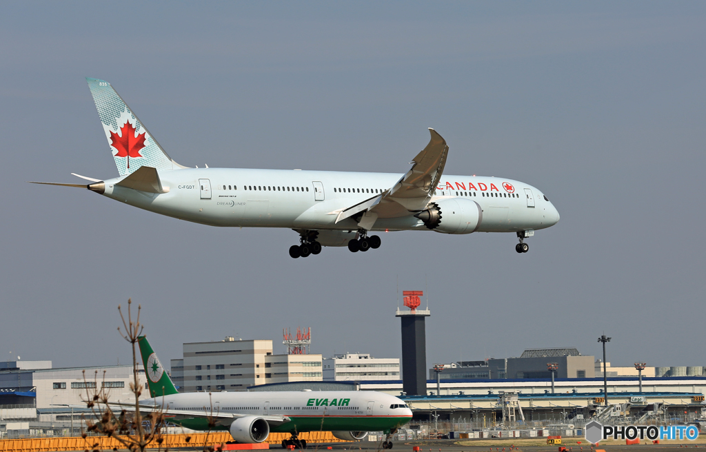 「青が大好き」 Air Canada 787-9 C-FGDT 到着