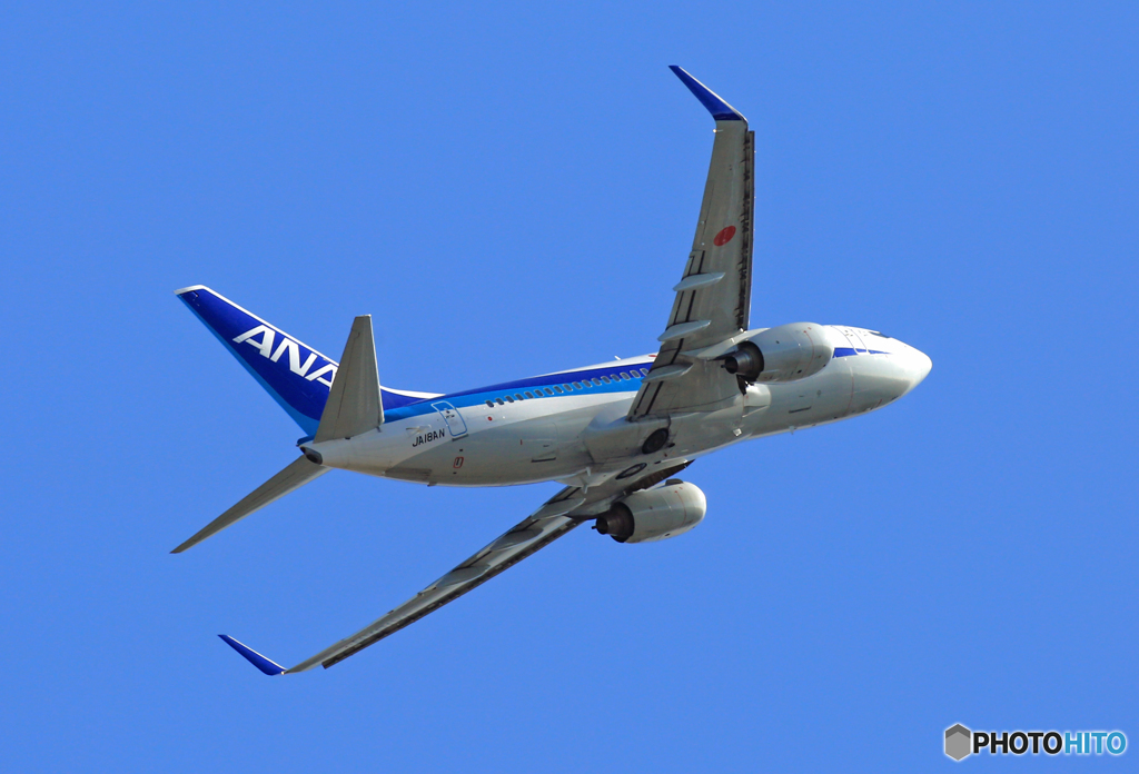 離陸 ANA 737-800 JA77AN by x191300cc （ID：5465648） - 写真