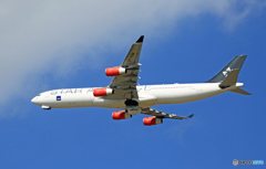 SAS A340-313 OY-KBM 離陸 