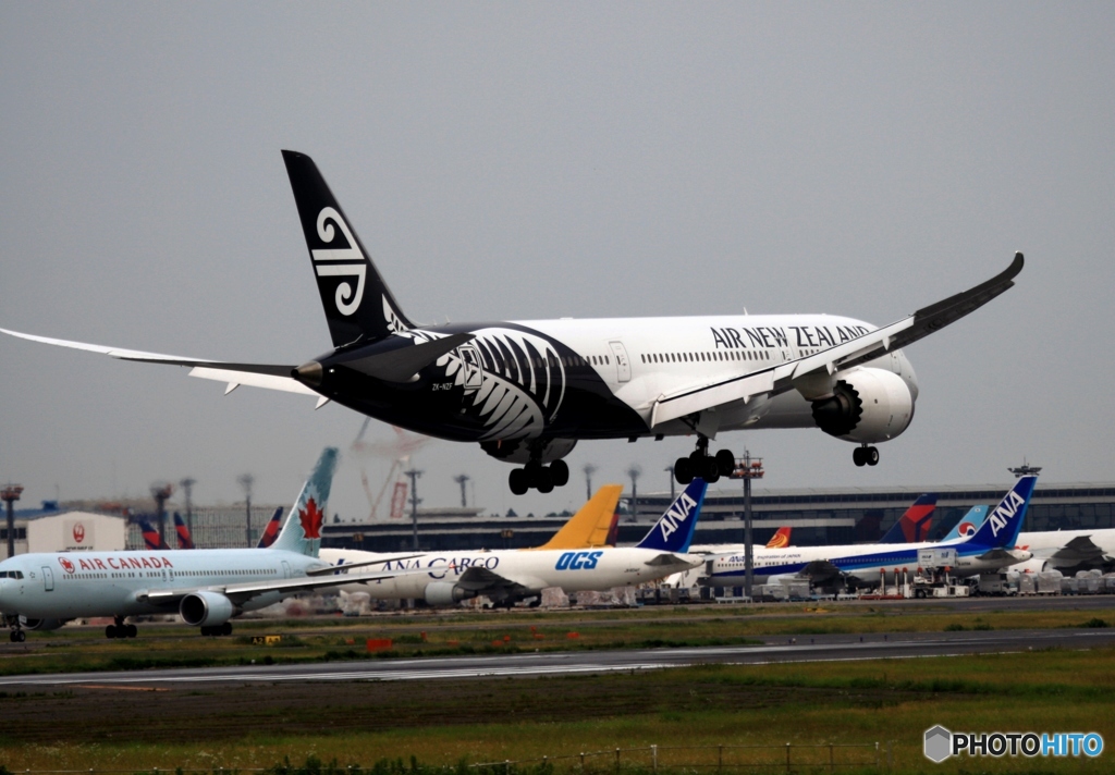 Air New Zealand 787-9 到着　