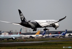 Air New Zealand 787-9 到着　