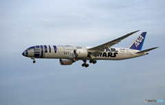 暗くなってからやって来た　「STAR WARS」