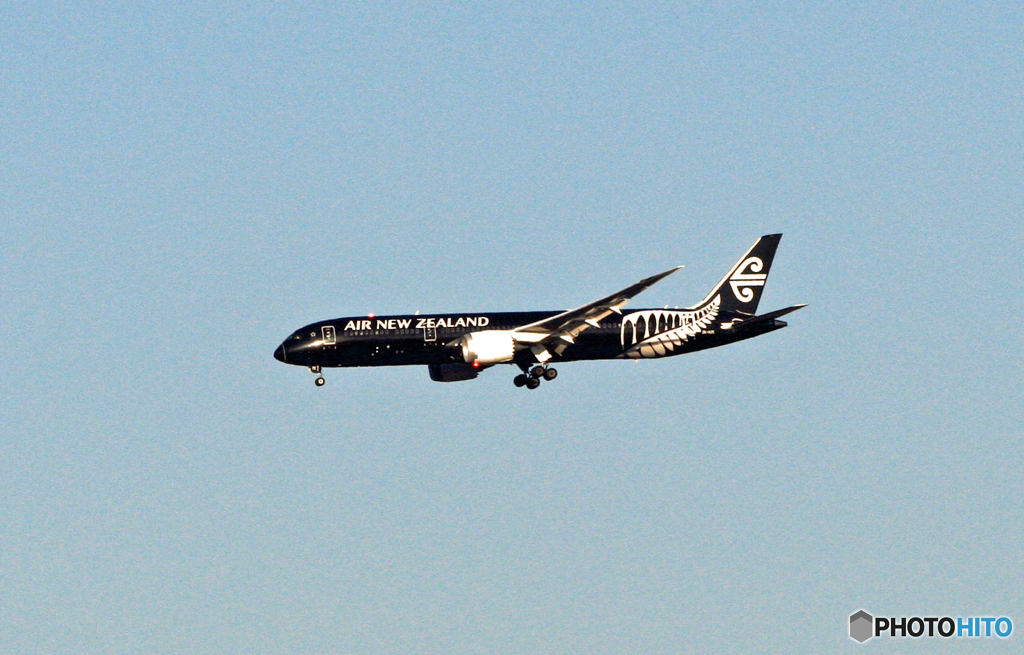 遠過ぎ～...「All Blacks」...B787-9...