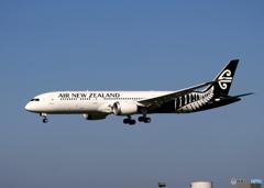 着陸　Air New Zealand 787-9