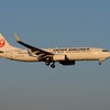 到着 JAL 737-800