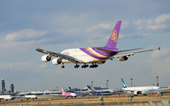 「すかい」 ☀THAI A380-841 HS-TUE着陸